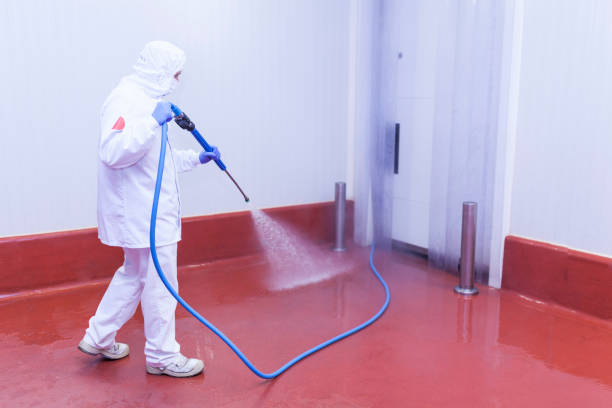 Reliable St Helens, OR Pressure Washing Solutions